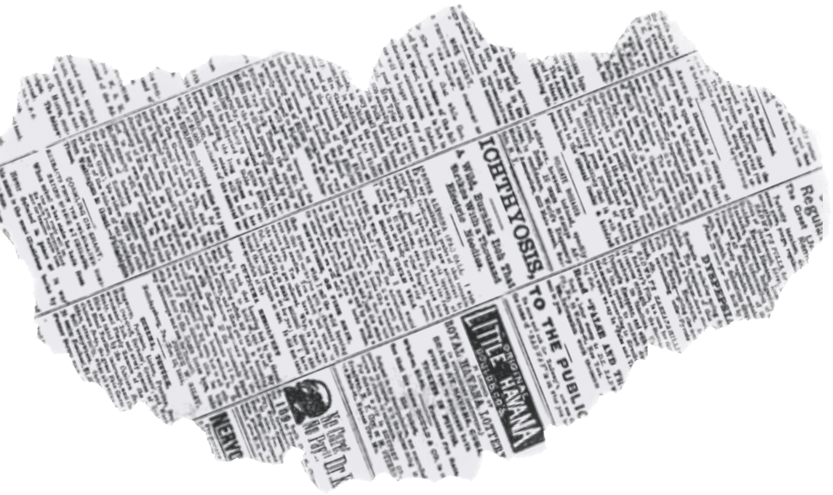 Piece of torn newspaper